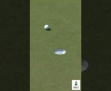 Webb Simpson Starts Strong Sinking Putts Early at PGA Championship #Shorts