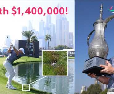 Rory McIlroy's $1,400,000 Golf Shot