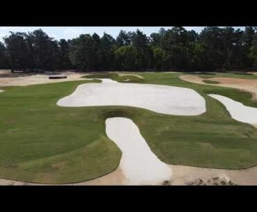 Project Update 5/13/23