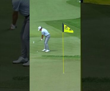 Flop Shot MAGIC! 🙌