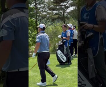 #임성재 프로, 드라이버스윙