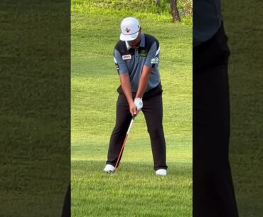 #임성재 프로, 러프 • 유틸샷 | 우리금융 챔피언십 1R