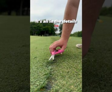 The only way to make the golf course perfect  🤌