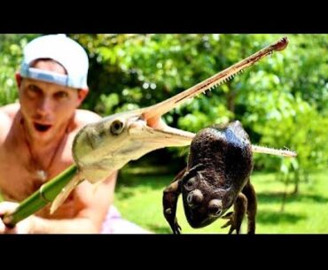 Making a Primitive Spear from a Gar’s Head! Frog Catch and Cook!