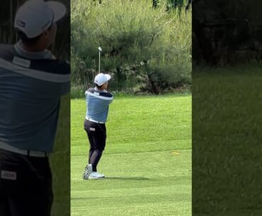 #임성재 프로, 핀공략 • 페어웨이 웨지샷!