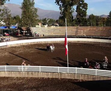 SERIE POTROS, RODEO ASOCIACION TALAGANTE