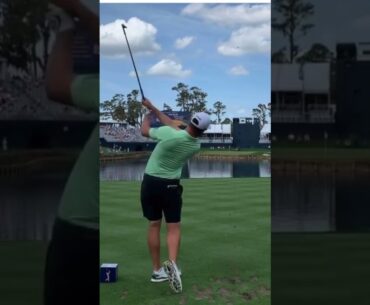 Will Corey Conners win the PGA Championship?  #pga #pgatour #golfswing #golf #golfer #golflife
