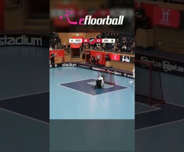 NAJEZD NEPROŠEL! #florbal #innebandy #salibandy #unihockey #eflorbal #oxdog
