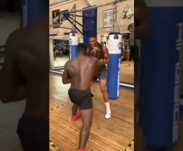 From chef fo sparring with Anthony Joshua - Freezy MacBonnes