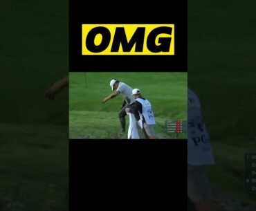 TOM KIM VIRAL