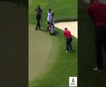 Spectacular Finish: Thomas Detry Chips in for Birdie on No. 18 at the PGA Championship #Shorts