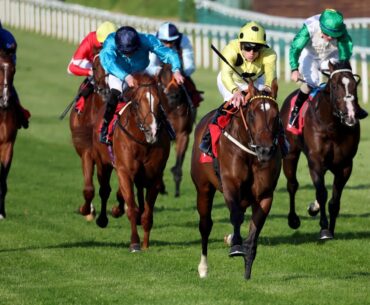 WOW! Elite Status FLOORS his rivals with impressive National Stakes win 🚀