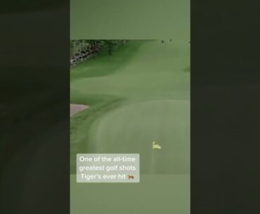 A Tiger Woods special at the 2002 PGA Champ