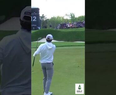 Unstoppable Momentum Cameron Young's Birdie Showcase PGA Championship #Shorts