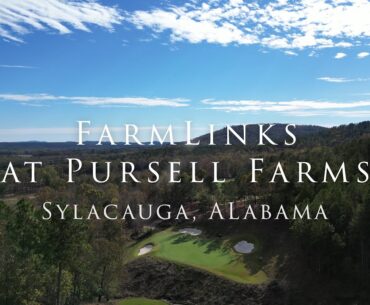 FarmLinks at Pursell Farms - Front 9
