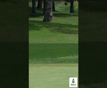 The Incredible Patton Kizzire's Unforgettable Long Birdie at Charles Schwab Challenge 2023 #Shorts
