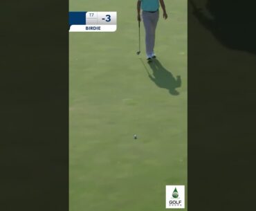 Justin Suh climbs the leaderboard with his 31 foot putt Charles Schwab Challenge 2023 #Shorts