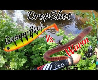 DropShot auf Barsch Wurm vs. Gummifisch im Herzen Ostfrieslands #angeln #barsch #bass #dropshot