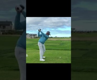 Dean Burmester ディーン・バーメスター