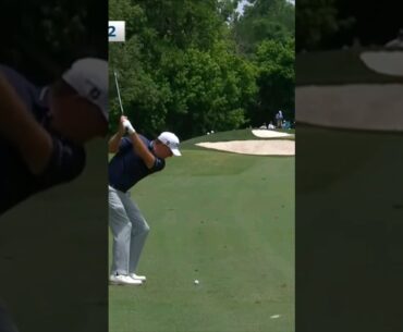 Wow! Tom Hoge "Eagle" Sinks Long Shot 👀 #shorts