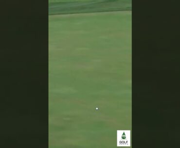Stephan Jaeger's Texas Wedge Mastery: A Handy Shot at Charles Schwab Challenge #Shorts