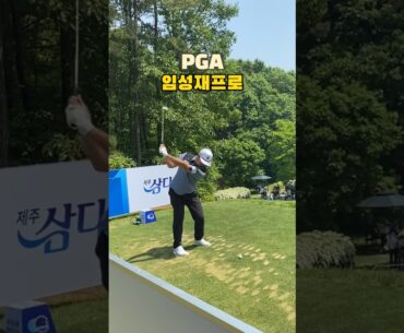 KPGA 우리금융챔피언십 PGA 임성재프로 출전 아이언스윙⛳️ 나이스버디 🦋 nice birdie #golfswing