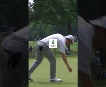 You Don't See This Everyday! Peter Malnati's Epic Shot at Charles Schwab Challenge 2023 #Shorts