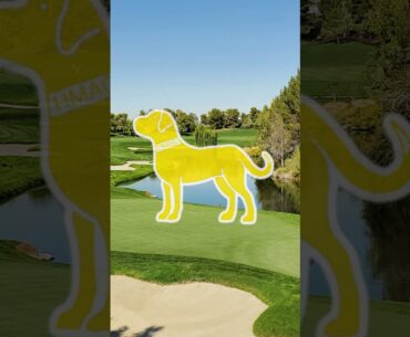 The Range Dog Performance T-Shirt by Hugh McLean Golf Apparel
