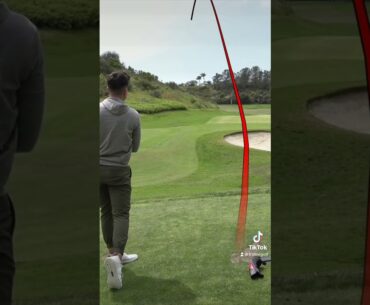 OH NO! LOOK OUT!! | #trottiegolf #shorts