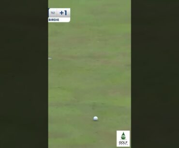 Nick Hardy's Clutch Roll: Nailing the Putt at Charles Schwab Challenge #Shorts
