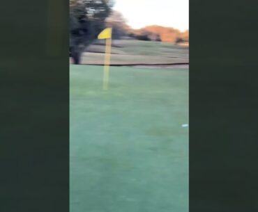 Our ball were touching in the trees #putt #golfswing #holeinone #golf #par3 #golfer #golftips