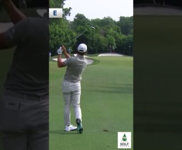 Collin Morikawa Moves into the Red with Another Birdie at Charles Schwab Challenge #Shorts