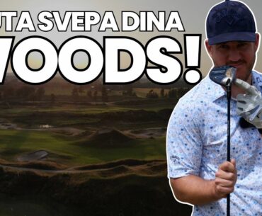 Svep INTE dina Fairwaywoods!