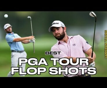 CRAZY FLOP SHOT ON THE PGA TOUR BY CAMERON YOUNG - MUST WATCH!