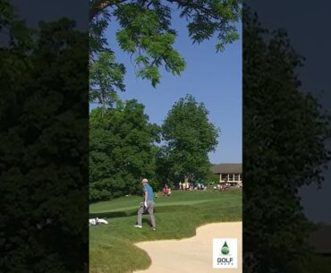 Shot of Precision: Matt Fitzpatrick Throws a Dart from a Tough Lie at The Memorial Golf #Shorts