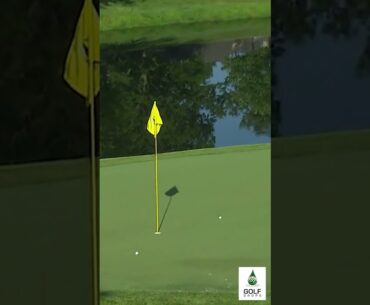 From Setback to Brilliance: Davis Riley's Near Hole Out for Birdie after a Water Mishap #Shorts