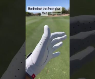 Fresh gloves are the best gloves! #bestgolfglove #bestgolfgloves