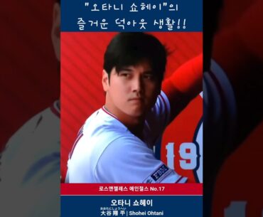 "오타니 쇼헤이"의 즐거운 덕아웃 생활! #baseball #야구 #mlb #shoheiohtani #shorts