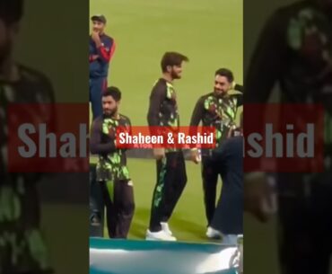 Shaheen Afridi and Rashid khan #shaheenafridi #rashidkhan