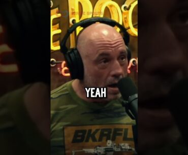 The Hardest Kicker In MMA