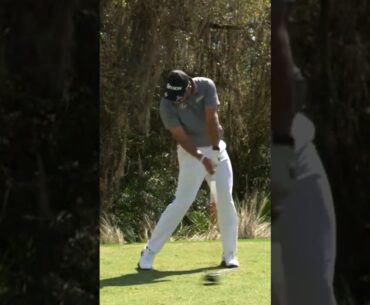 PGA "마쓰야마 히데키" 파워스윙 슬로우모션들