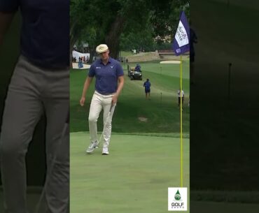 Harry Hall's Smooth Birdie Roll: A Rookie's Rise to the Top at Charles Schwab Challenge #Shorts