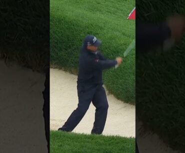 That's a SPECIAL bunker shot! 👏