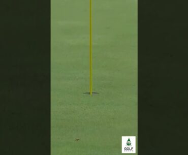 Brandt Snedeker's Impressive Par 5 Performance at RBC Canadian Open #Shorts