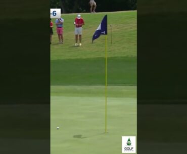 Solo Leader by Four: Harry Hall's Chip In Extends His Lead - Charles Schwab Challenge 2023 #Shorts