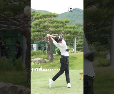 [제66회 KPGA 선수권대회 with A-ONE CC] 1라운드 장동규 티샷