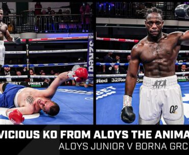 Brilliant fight ends in BRUTAL knockout! Aloys Junior v Borna Grcic | Full Fight Replay | Boxing