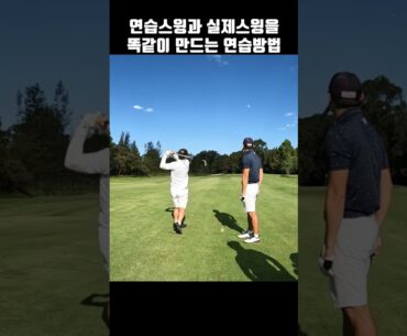 연습스윙을 그대로 공치기