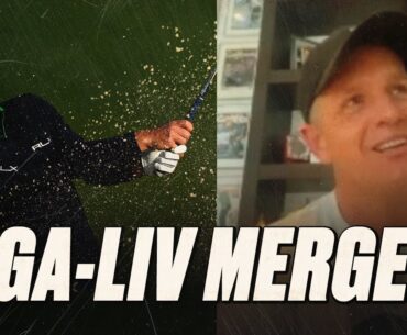 PGA Loyalist and Ryder Cup Captain Luke Donald reacts to merger with LIV