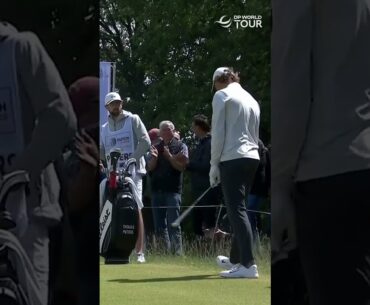 INCREDIBLE SHOT BY Thomas Pieters 🤯 - HOLE IN ONE shorts🏌️‍♂️⛳